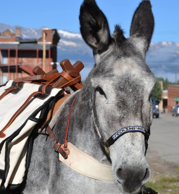 Boom Days near Leadville, Colorado