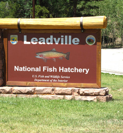 Fish Hatchery near Leadville, Colorado